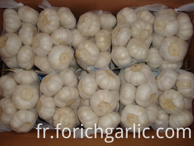 Pure White Garlic